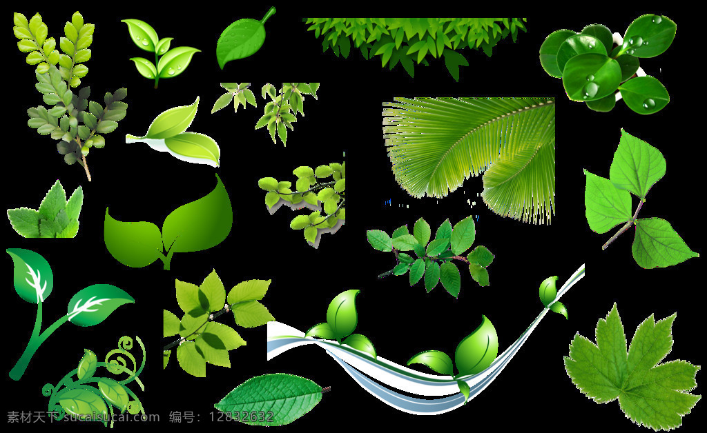 卡通 绿色植物 叶子 元素 png元素 环保 绿叶 免抠元素 树叶 树枝 透明素材