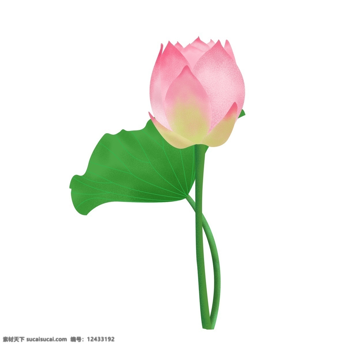 手绘 噪 点 鲜花 荷花 荷叶 植物 小 插画 元素 手绘植物 手绘荷花 植物元素 手绘荷叶 荷花元素 荷叶元素