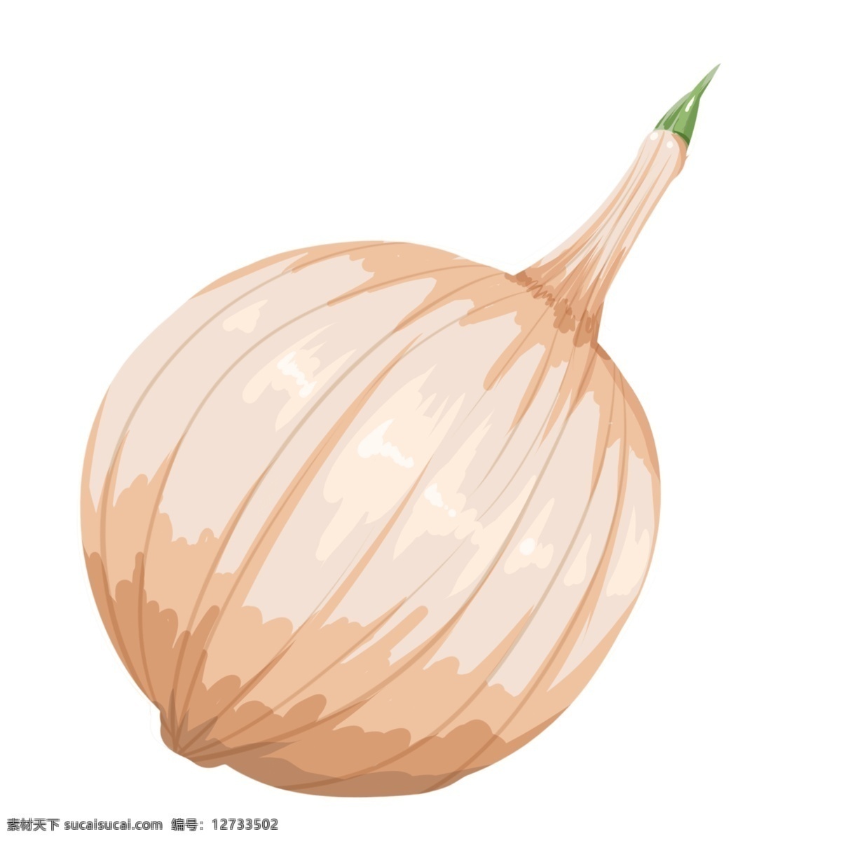 手绘 蔬菜 洋葱 插画 新鲜的蔬菜 卡通插画 手绘蔬菜插画 白色的洋葱 圆圆的洋葱 辛辣的洋葱