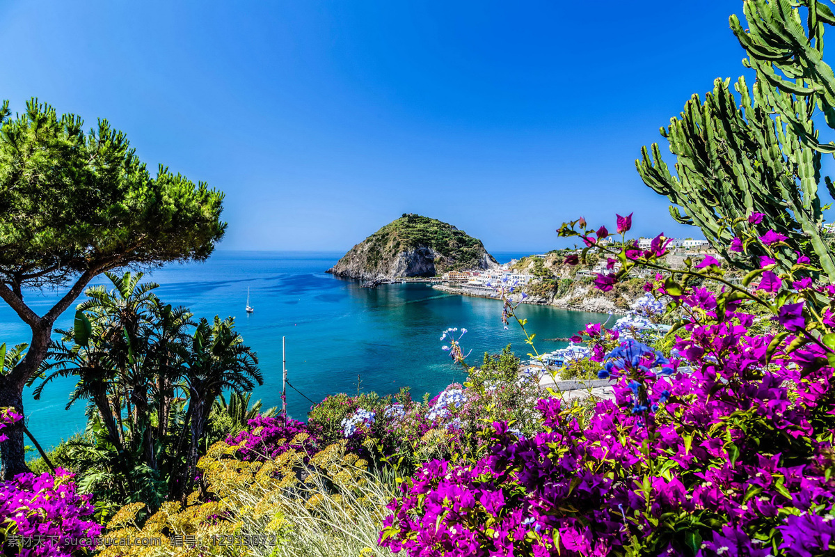 意大利 岸 簕 杜鹃 簕杜鹃 簕杜鹃花 鲜花 花草 天空 海洋 海岸 树木 自然景观 自然风景