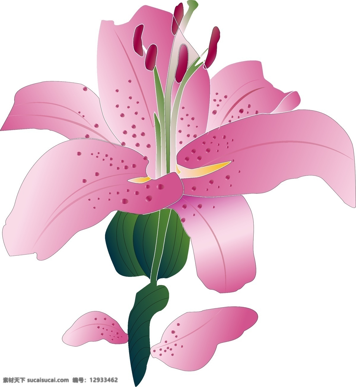 手绘 花 商用 元素 手绘花 唯美 时尚 浪漫 小清新 简约 素描 粉色 细致 矢量 兰花