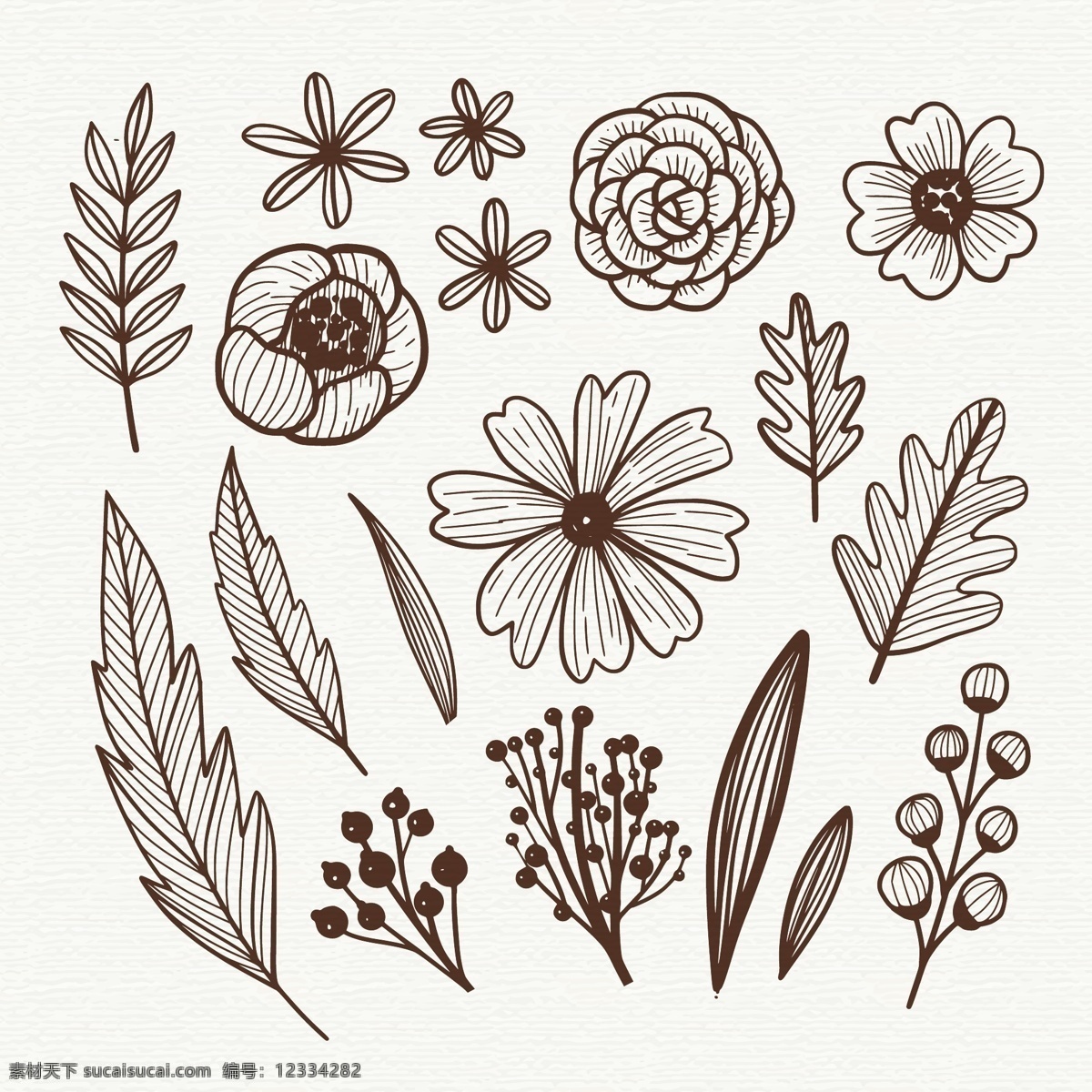手绘 素描 风格 花卉 元素 自然 叶 线描 线条 装饰性