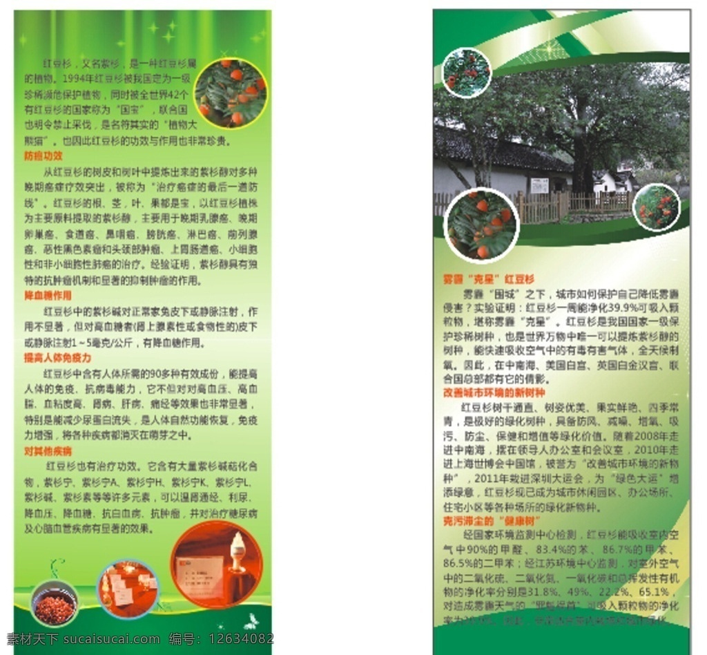 红豆杉易拉宝 红豆杉 易拉宝 x展架 展架 海报