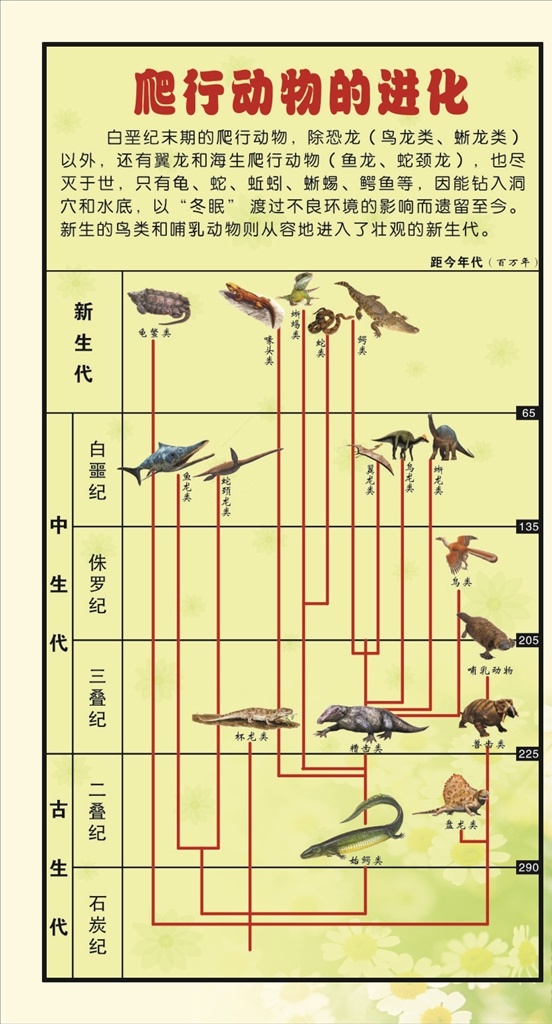生物 展板 爬行动物 进化 生物展板 展架 学校 中学 中学生物 校园文化 生物园 生态教室 生态园 校园知识展板 自然 生命 动物 挂图 知识