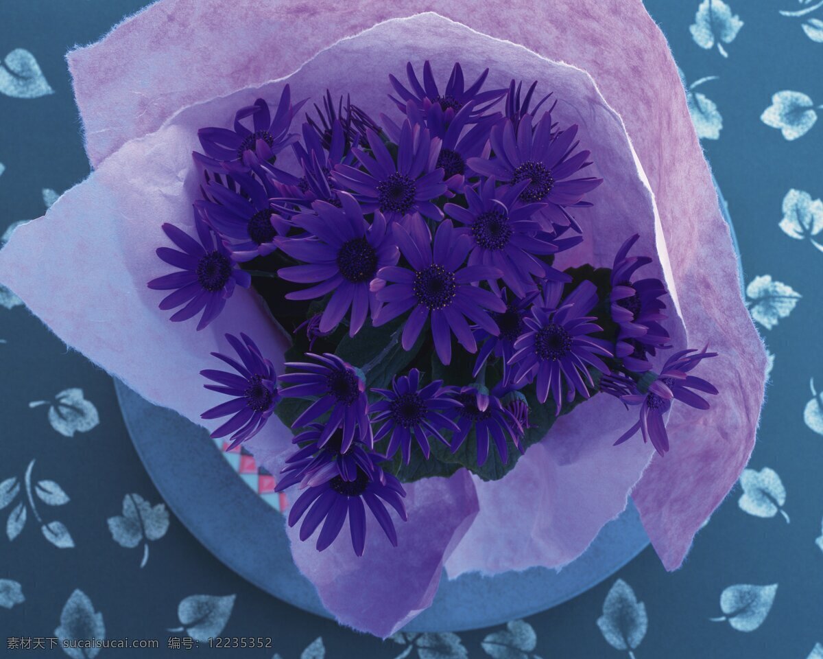 花艺 大餐 花朵 花饰 盘子 郁金香 紫罗兰 花艺大餐 稚菊 生物世界