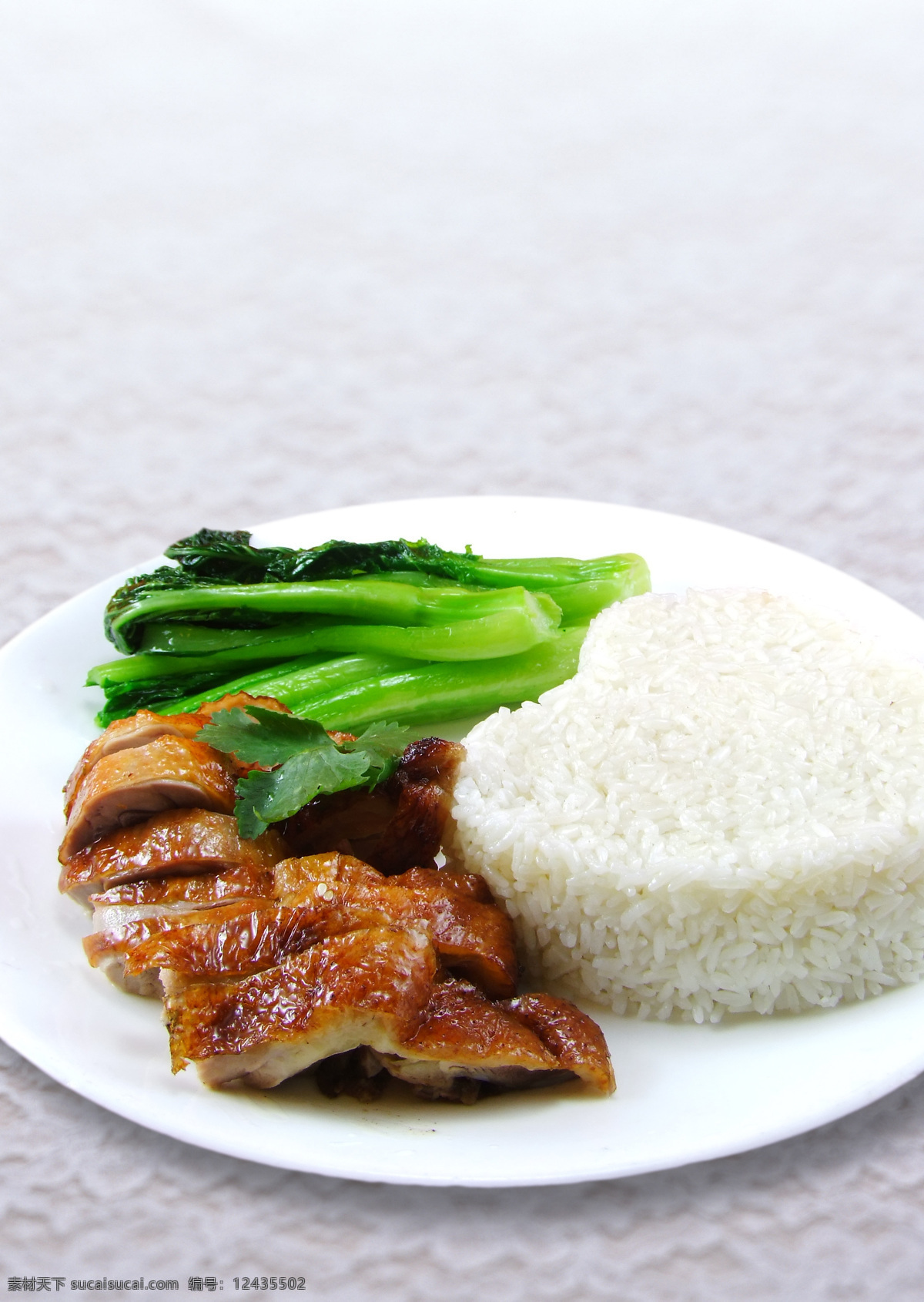 烧鸭饭 快餐烧鸭饭 烧鸭饭快餐 青菜烧鸭饭 烧鹅饭 餐饮美食 传统美食