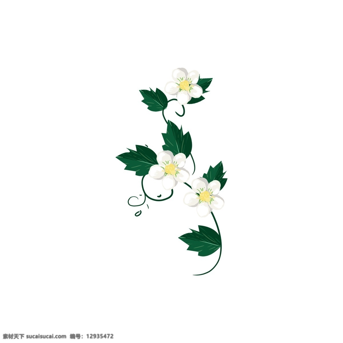 绿色 荷花 装饰 图案