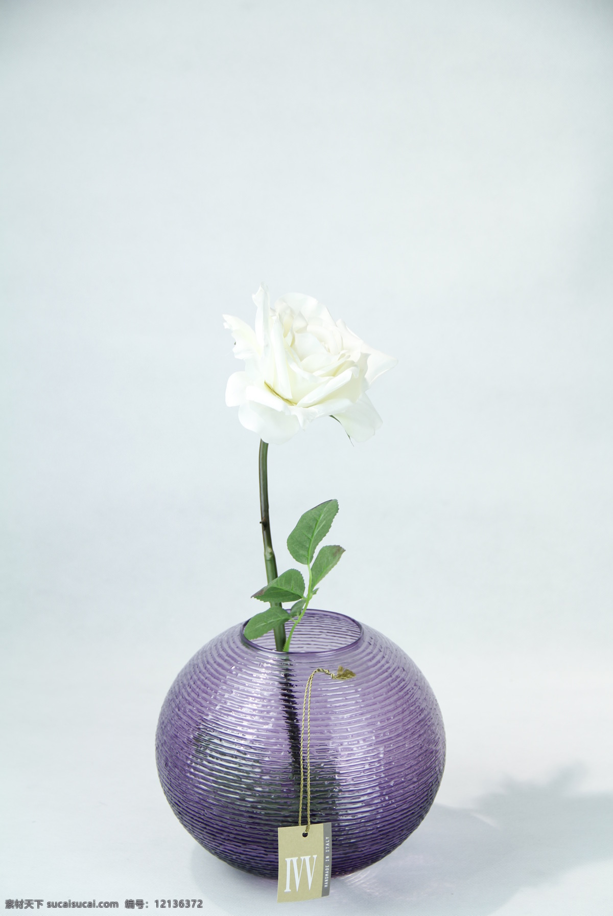 玻璃花瓶 花瓶 玻璃 装饰 装饰瓶 工艺品 软装品 ivv 玻璃工艺品 文化艺术