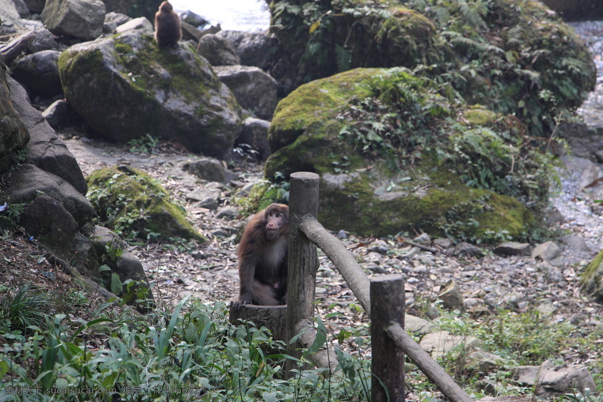 峨眉山 四川峨眉山 峨眉山照片 峨眉山图片 峨眉山素材 四川景点 峨眉山旅游 峨眉山海报 峨眉山淘宝 峨眉山祈福 旅游海报 旅游峨眉山 峨眉山金顶 四川乐山 金顶风光 金顶建筑 峨眉金顶 佛教圣地 高清 自然景观 风景名胜 灰色
