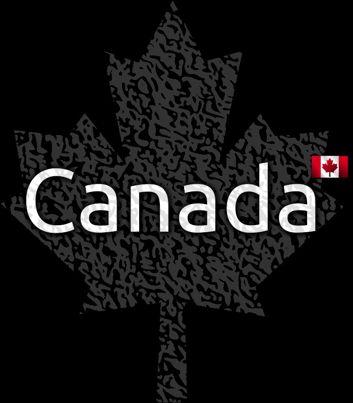枫叶7 枫 符号 国家 国旗 会徽 加拿大 世界 酥 天 叶 加拿大人 法裔加拿大人 canadiense 阿尔塞 班德拉 织锦 直径 中层 徽章系列 embleme 的痛苦 白叶 怨妇 世界报 销 象征着 插画集