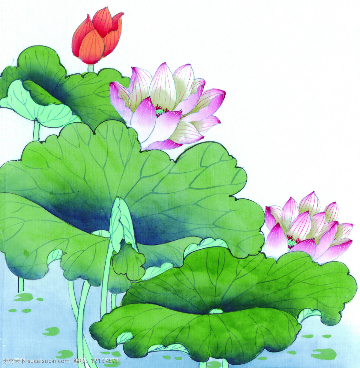 花卉图案 中国画 花草图案 静物画 书画美术 设计素材 静物画篇 中国画篇 白色