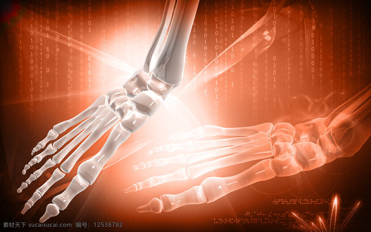 手部 骨骼 背景 器官 医学 医疗 医疗背景 医疗护理 现代科技