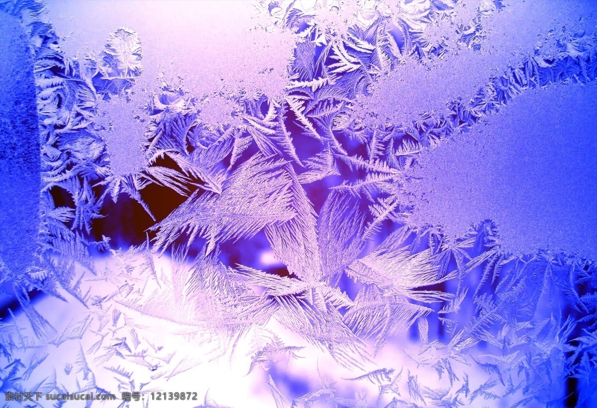 美丽 冰花 冬天雪景 冬季 美丽风景 美丽雪景 白雪 积雪 风景摄影 山水风景 风景图片
