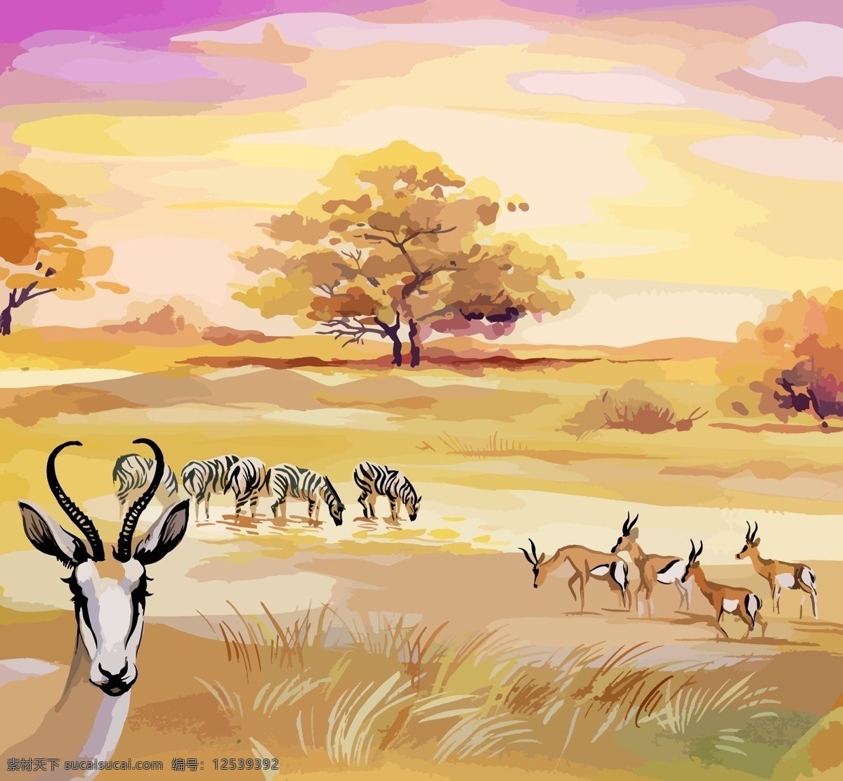 大 草原 上 动物 插画 水彩绘 风景 大草原 羚羊 非洲 天空 大树