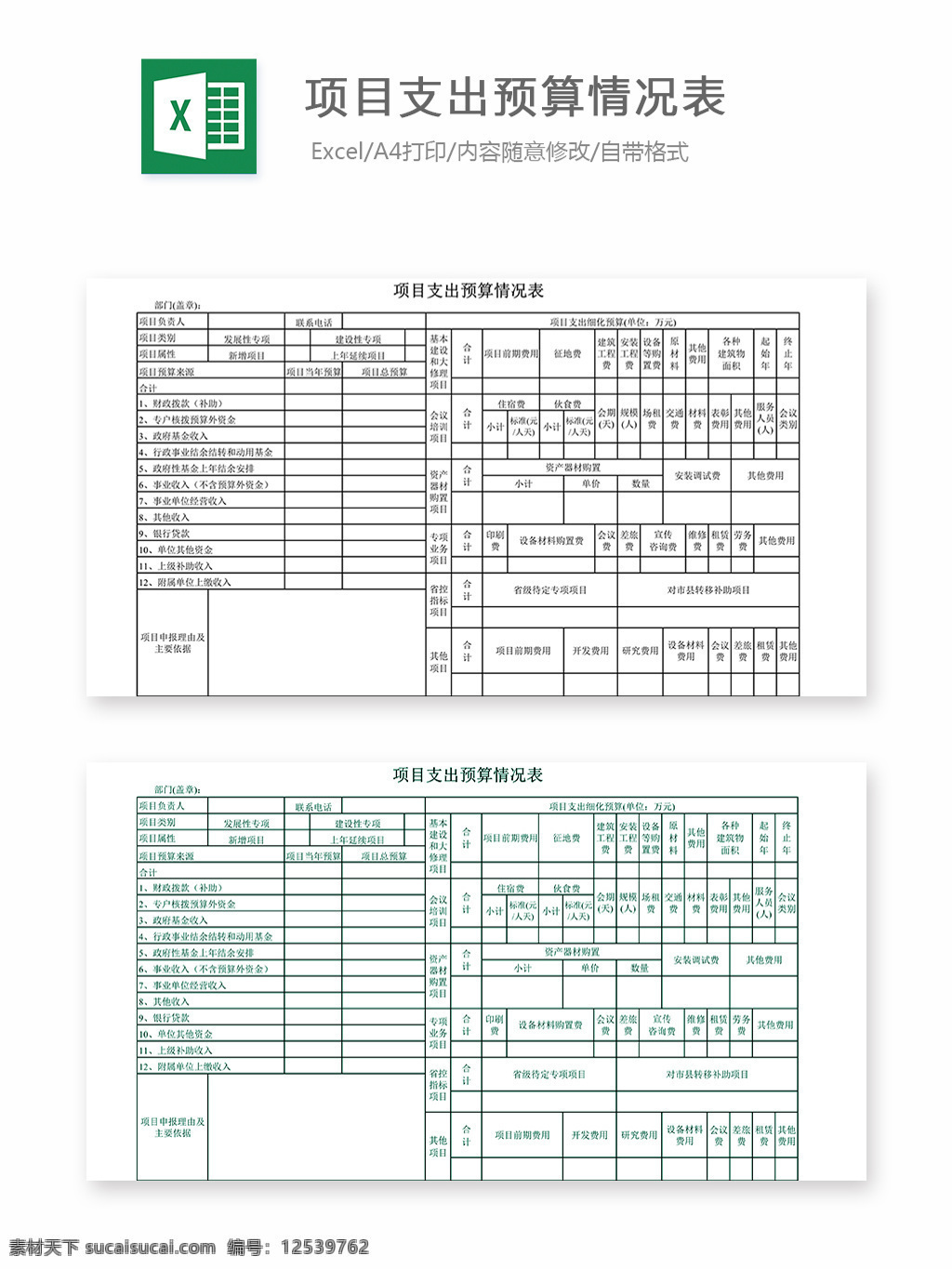 项目 支出 预算 情况表 表格 表格模板 表格设计 图表 项目支出