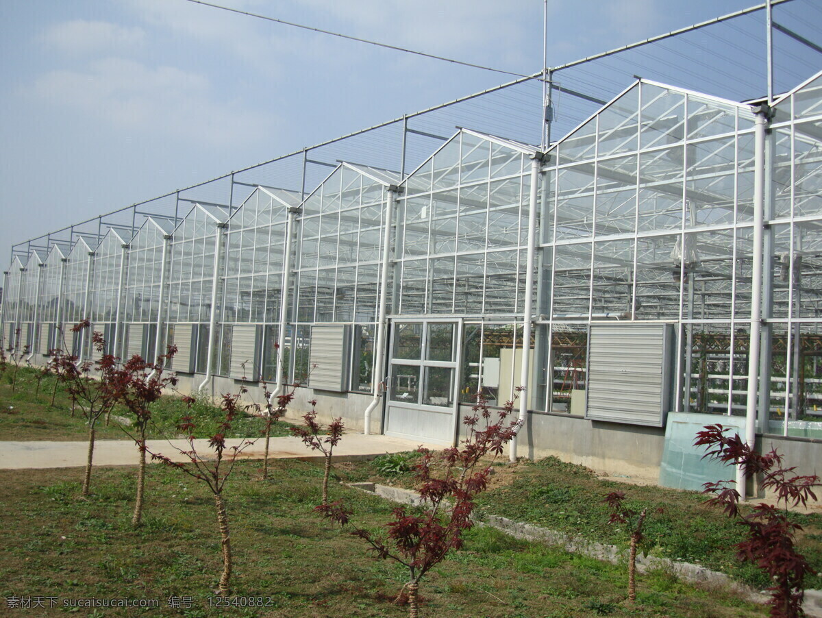 玻璃温室 汤山翠谷 温室园艺 高档 现代化 温室 休闲农业 农业生产 现代科技