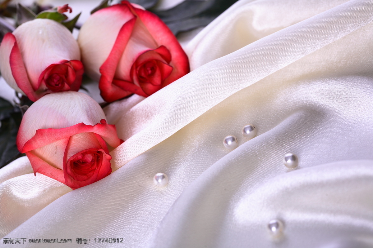 粉红玫瑰 红花 红玫瑰 花苞 花草 花朵 花卉 花束 婚庆 玫瑰 婚庆玫瑰 玫瑰花 花素材 婚庆用品 珍珠 丝绸 白丝绸 情人节 植物 生活素材摄影 生活素材 生活百科 psd源文件 婚纱 儿童 写真 相册 模板