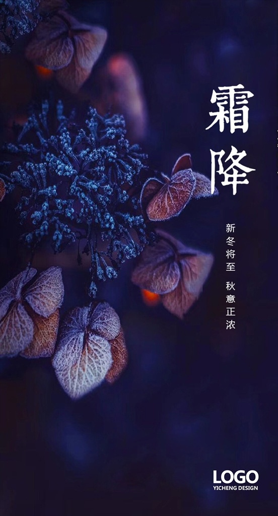 霜降海报 霜降微信 霜降刷屏 霜降节气 霜降传统节气 节气海报 二十四节气 节日节气 24节气 展板模板 dm 招贴