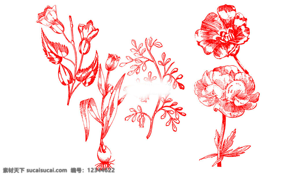 复古 风格 版刻 花朵 装饰 ps 笔刷