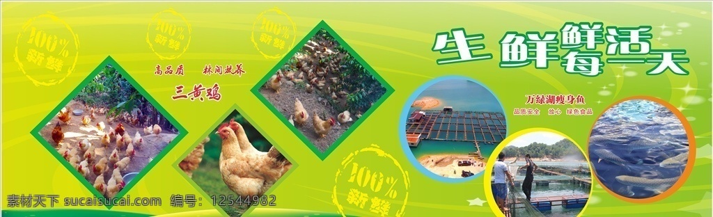农产品 宣传 广告 农产品宣传 农产品海报 农产品广告 超市宣传栏 新鲜宣传栏 新鲜广告 绿色广告 超市广告 超市海报 生鲜广告 生鲜海报 家禽海报 家禽广告