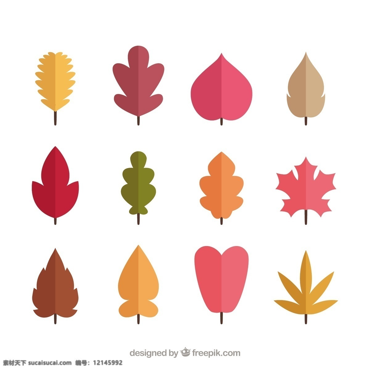 秋天 树叶 收集 叶 自然 颜色 温暖 树枝 秋天的树叶 季节 包装 秋天的叶子 落叶 温暖的颜色