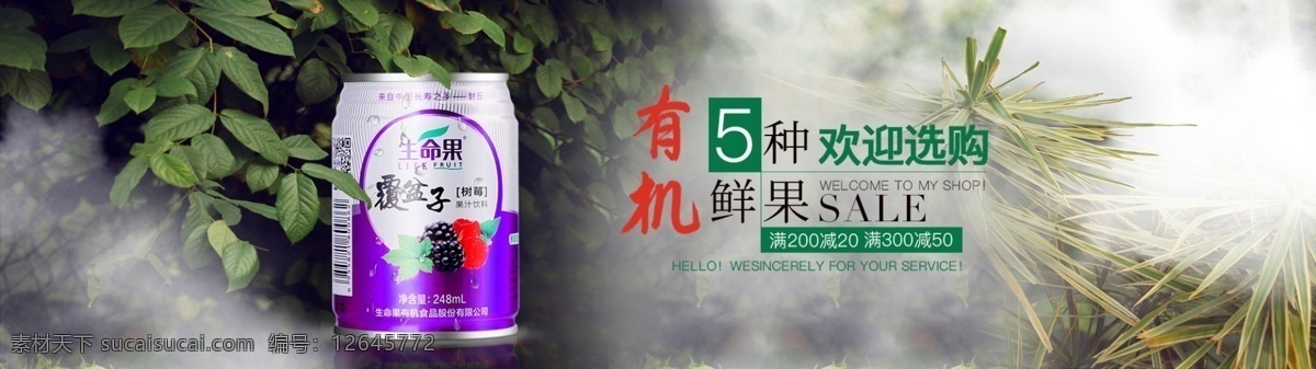饮料 banner 生物 有机 鲜果 幽灵 秘境 分层