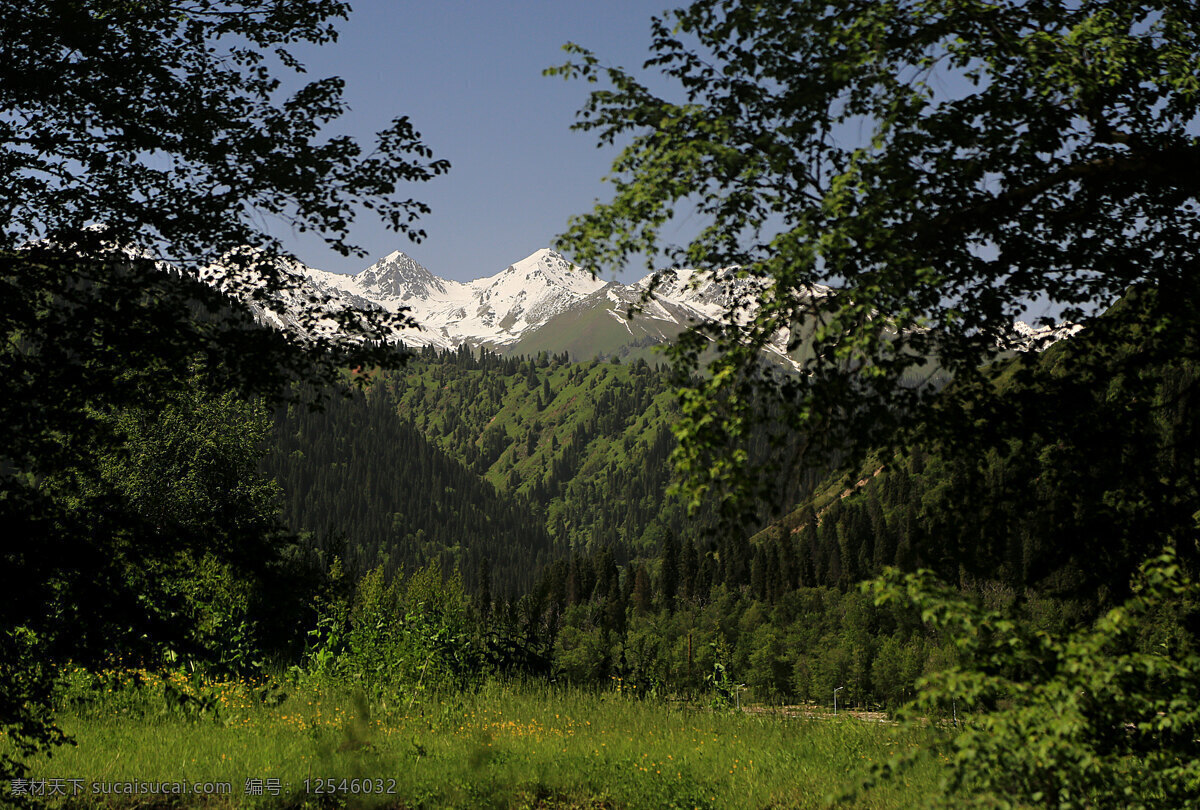 新疆 夏塔 古道 风景