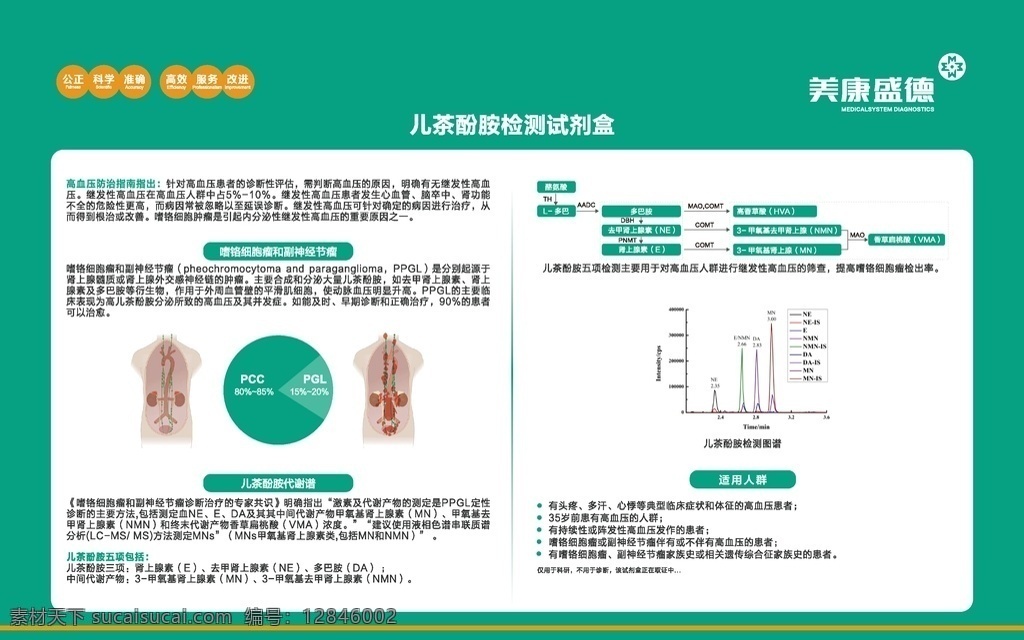 试剂盒展板 技 科学 严谨 hpv 基因检测 展板 logo 医学 博士 医生 试管 试剂盒 反向点杂交法 基因芯片技术