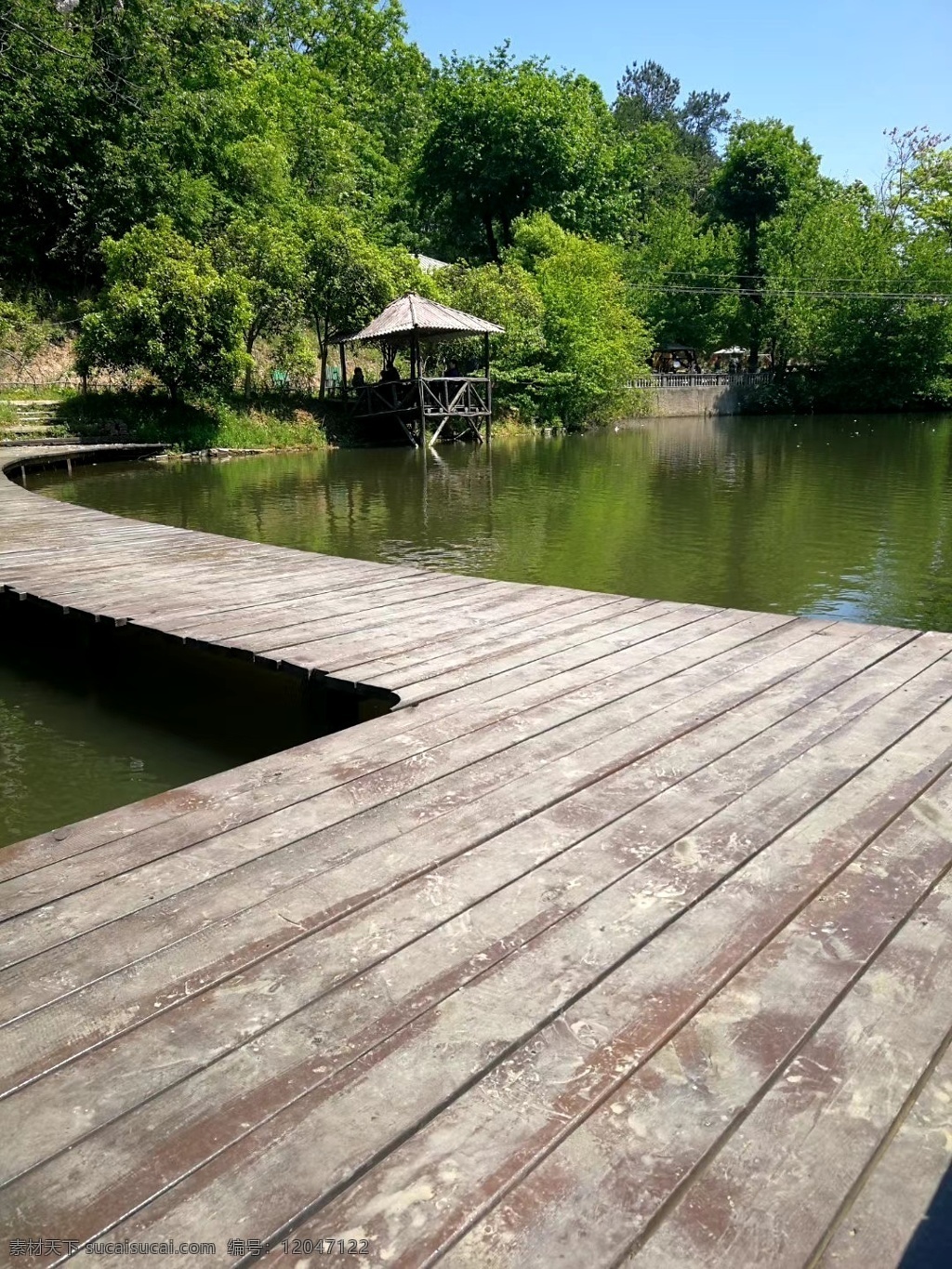湖水 岸边 木板桥 绿树 河岸 木桥 自然景观 自然风景