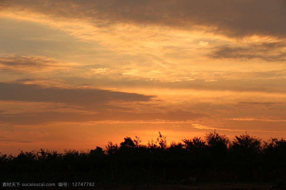 夕阳 天空 彩云 树木 草地 自然景观 自然风景