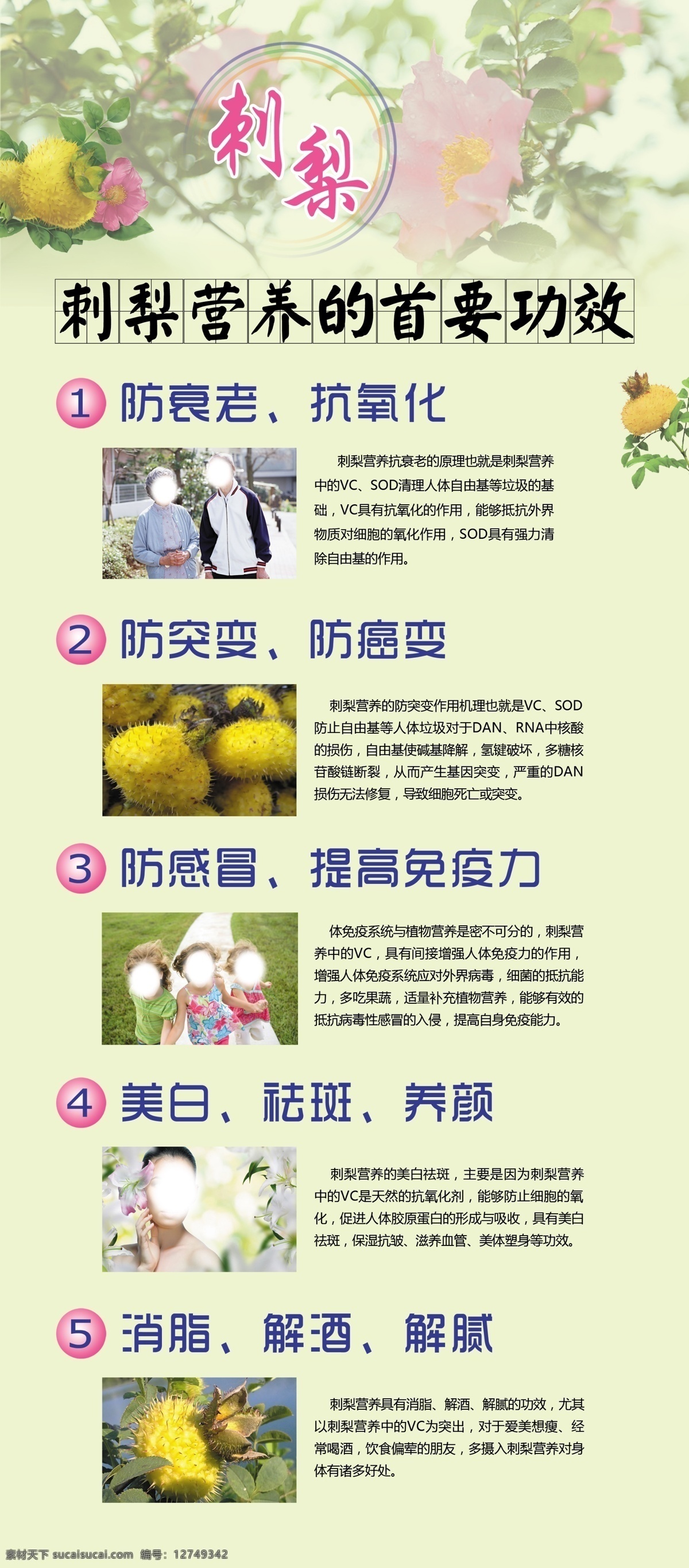 刺梨 刺梨图片 刺梨海报 刺梨展架 刺梨素材 刺梨功效 分层