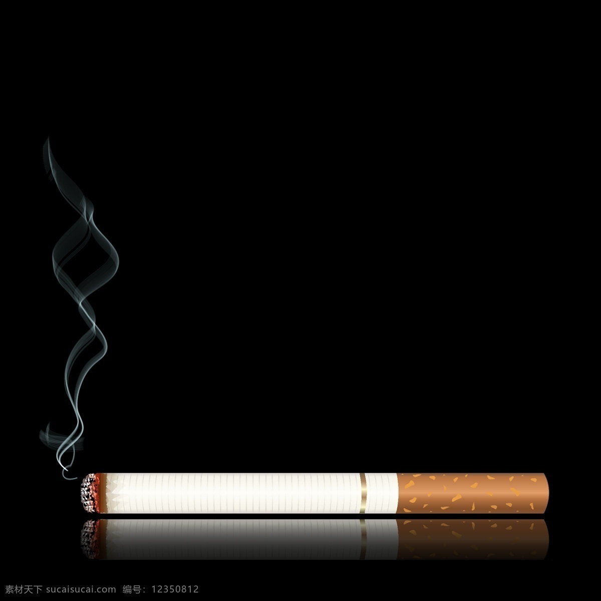支 燃烧 烟草 矢量图 一支烟 燃烧的烟 禁止吸烟 请勿吸烟 吸烟有害健康 吸烟广告 请勿吸烟海报 no smoking