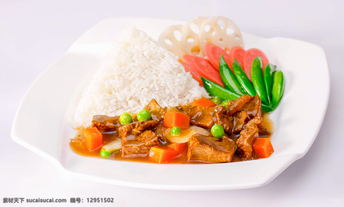 肉片盖饭 菜品 菜肴 炒菜 美食 美味 炖菜 饮食类 餐饮美食 传统美食