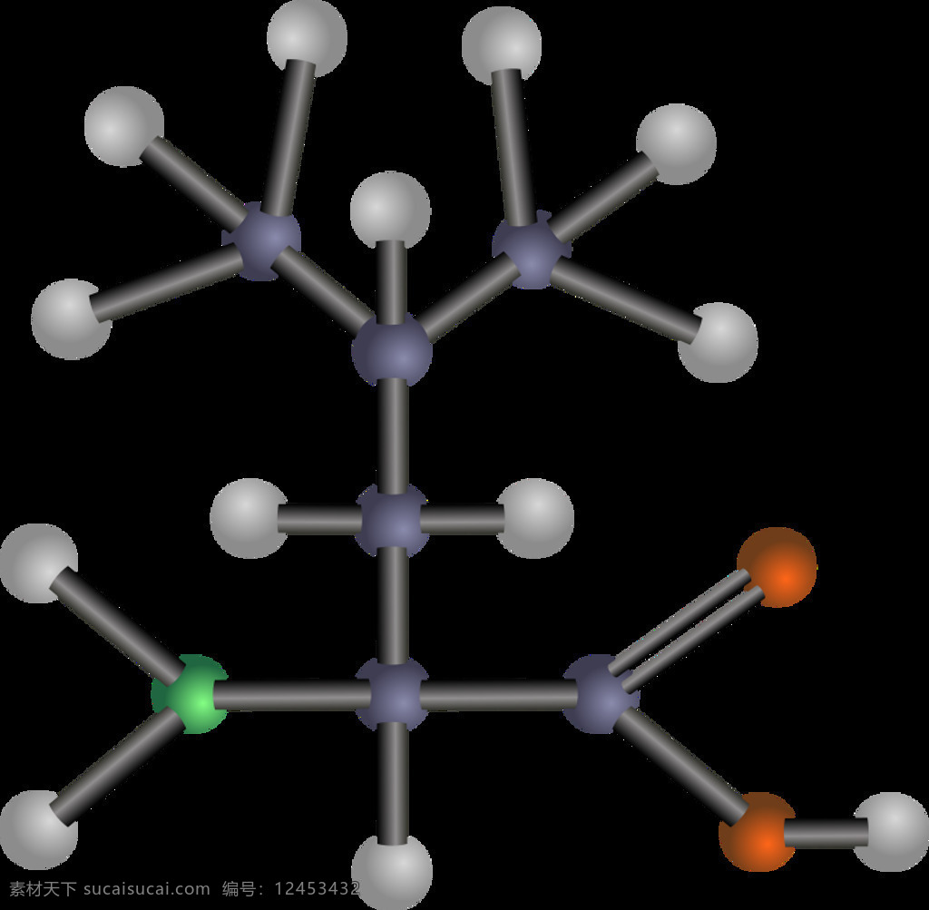 亮氨酸 氨基酸 化学 结构 科学 模型 酸 生物学 疏水性 插画集