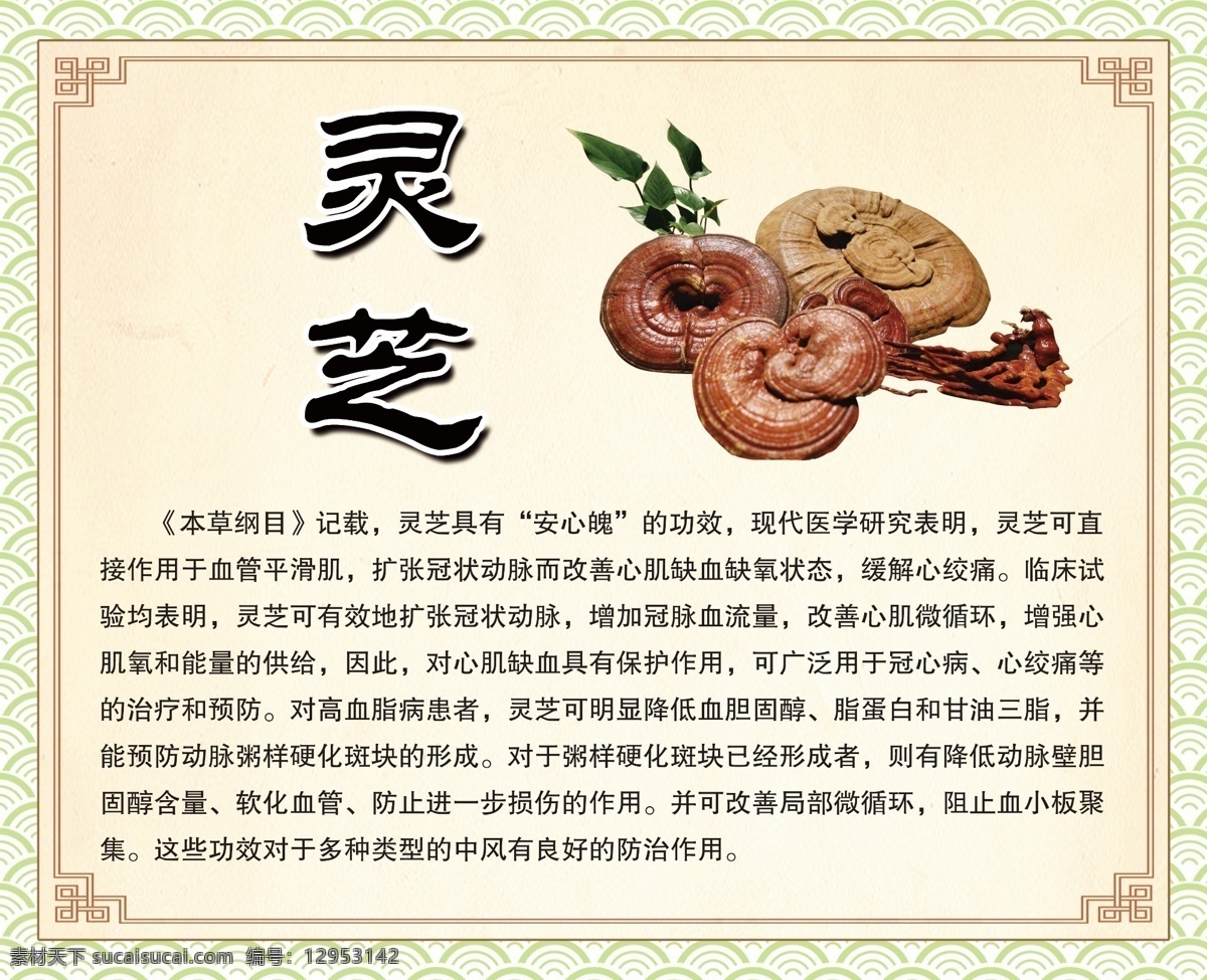 灵芝 圣原 中药 人参 鹿茸 刺五加茶 冬虫夏草