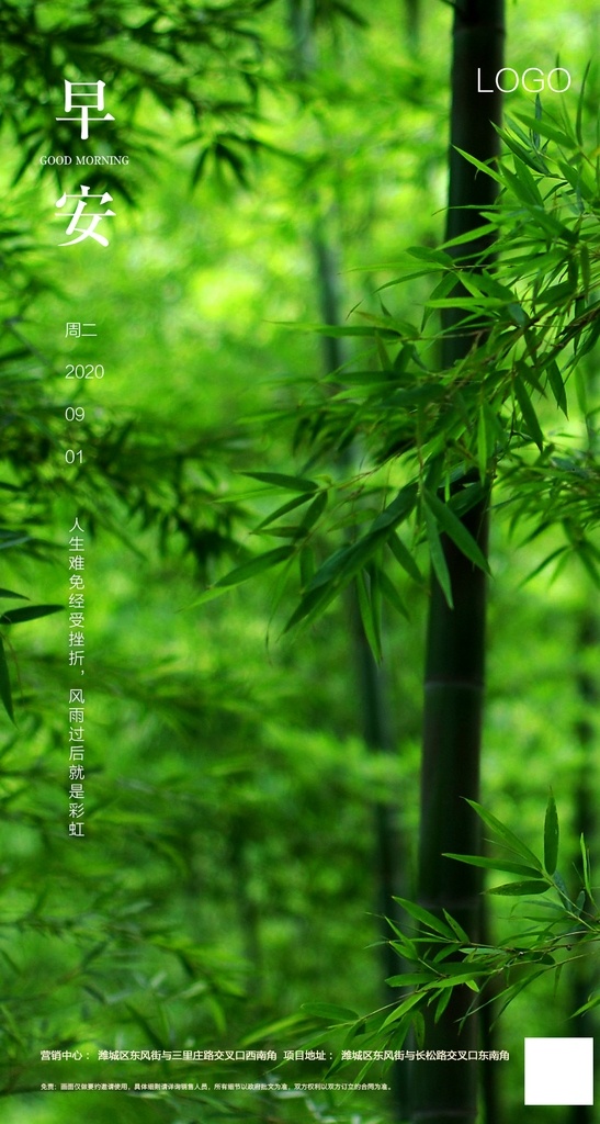 早安朋友圈 清晨 早安问候 早安日贴 早上好 微距 花卉 风景 山水 清晨问候 朋友圈 地产早安 早上一句话 早上图 早安图片 竹林 竹海 分层