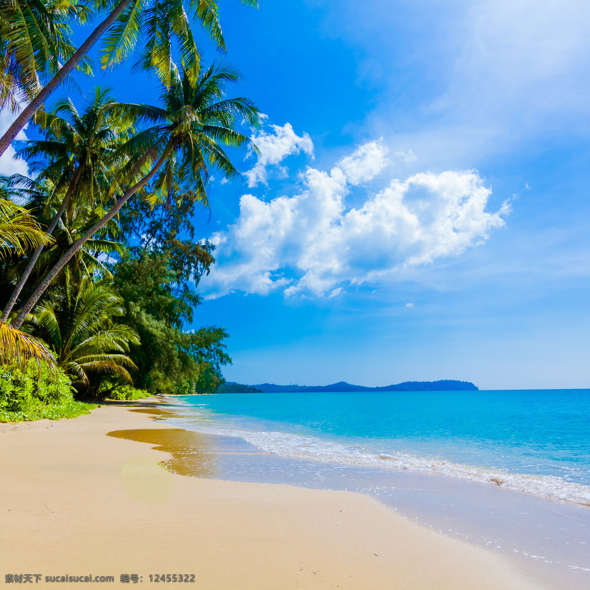 海滩风景 蓝天 白云 海滩 海边 夏日海滩 沙滩 椰树 自然风景 自然景观