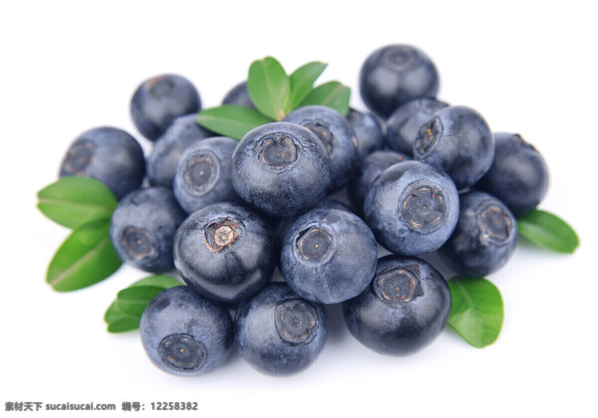 新鲜 蓝莓 新鲜蓝莓 新鲜水果 果实 蔬菜图片 餐饮美食
