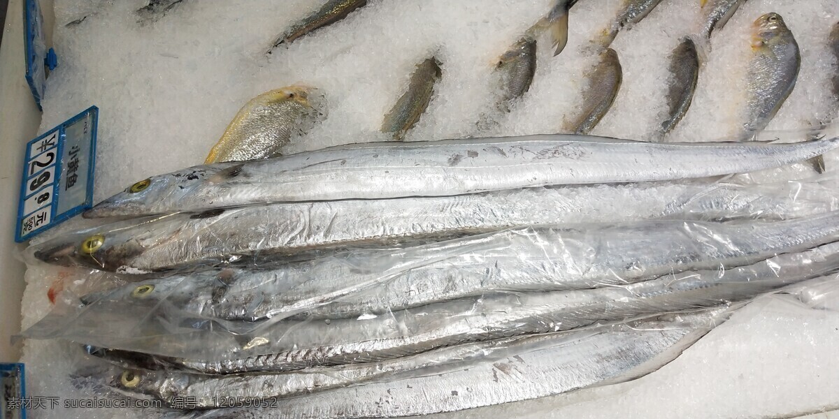 带鱼 冰鲜 水产 海鲜 美味 生物世界 海洋生物