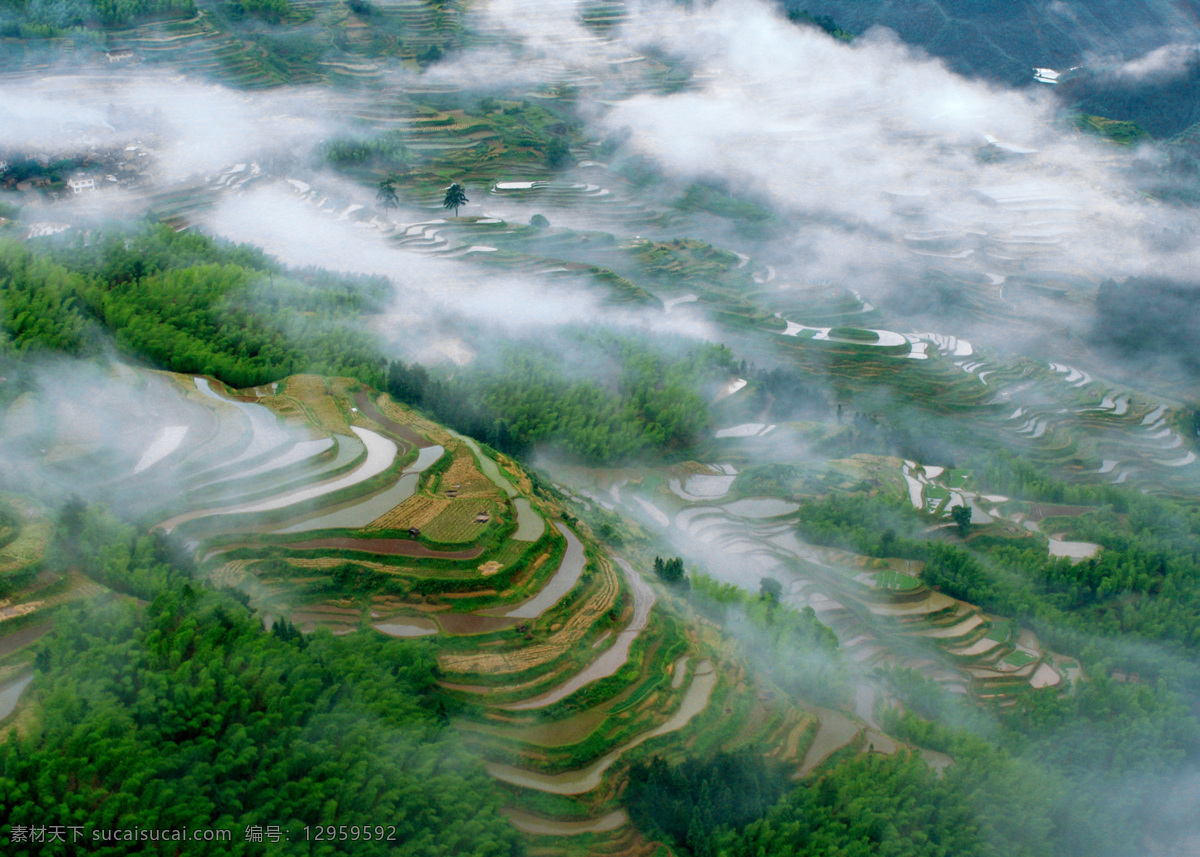 梯田 旅游 风景 采风 山村 云雾 清山 纪念 田园风光 自然景观