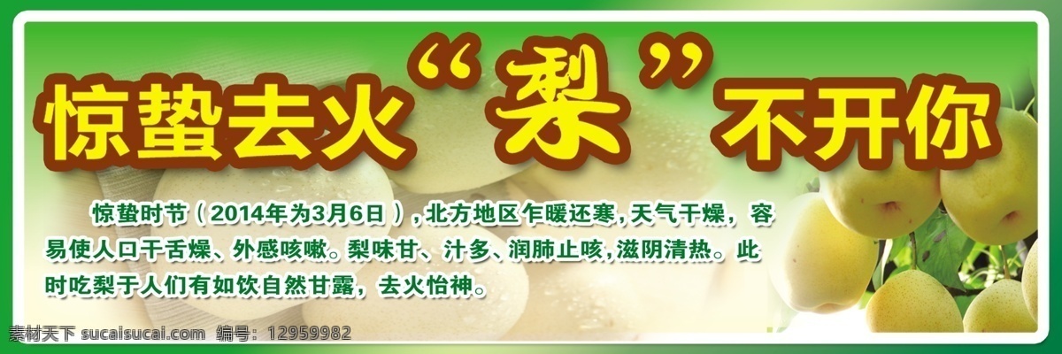 节气 氛围 吊板 惊蛰 原创设计 原创节日素材