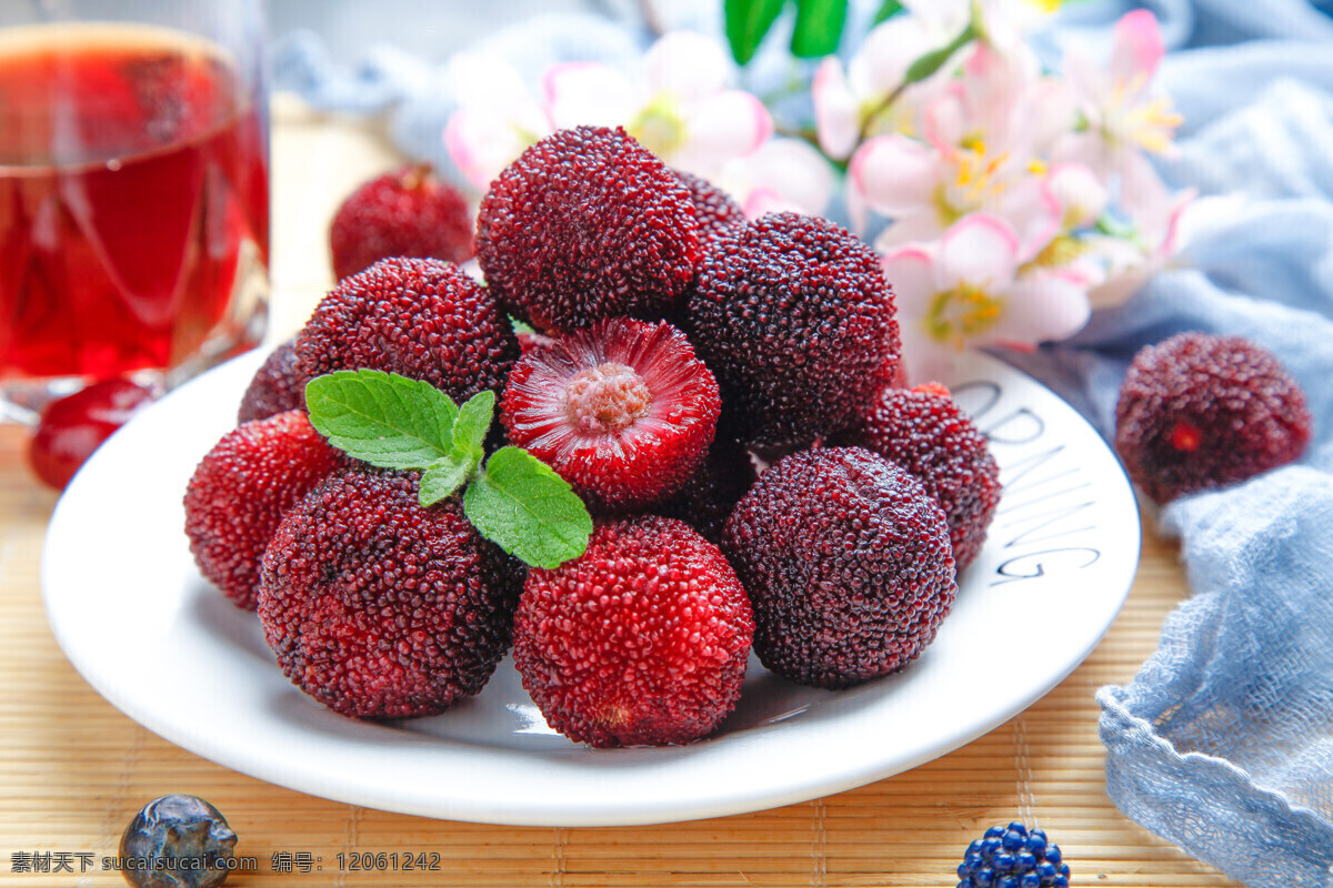新鲜杨梅 新鲜 杨梅 水果 天然 绿色 健康 可口 美味 生物世界