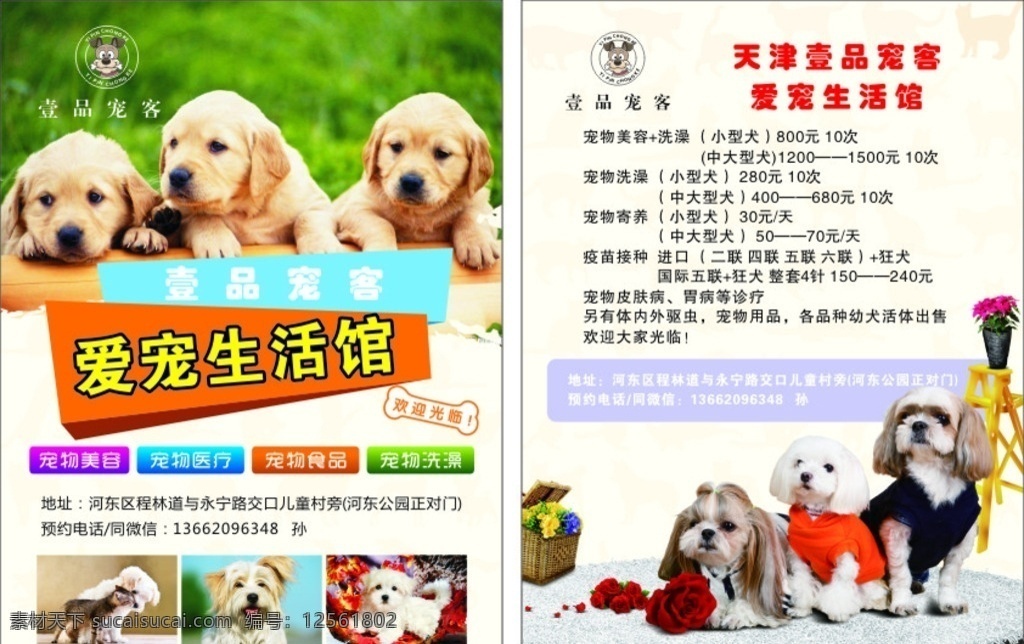 宠物宣传单 宠物宣传单张 宠物dm 宠物dm单 宠物彩页 宠物传单 宠物店宣传单 宠物店宣传 宠物店dm 宠物店dm单 宠物店彩页 宠物店传单 dm宣传单