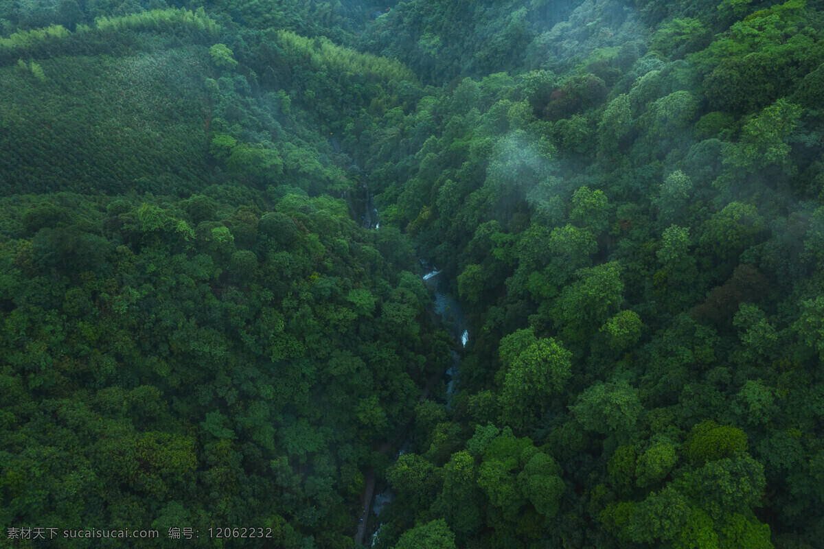 森林鸟瞰 树林 山林 高清山林 自然景观 自然风景