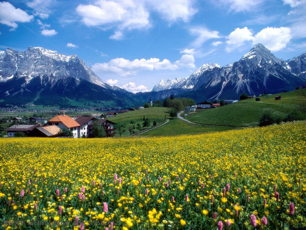 欧洲风光 蓝天 白云 雪山 原野 鲜花 自然景观 自然风景 摄影图库