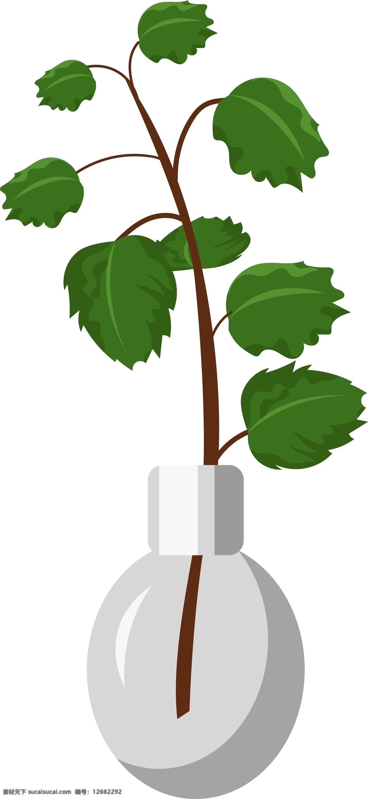 白色 花盆 绿叶 盆栽 插画 白色的花盆 绿色叶子 植物 绿叶枝条 绿植 卡通插画 透明的花盆 盆栽插画