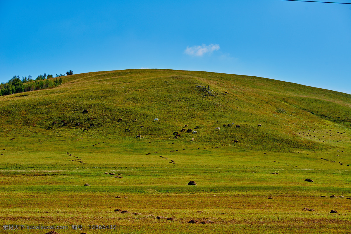 内蒙古 乌兰布 统 草原 风景