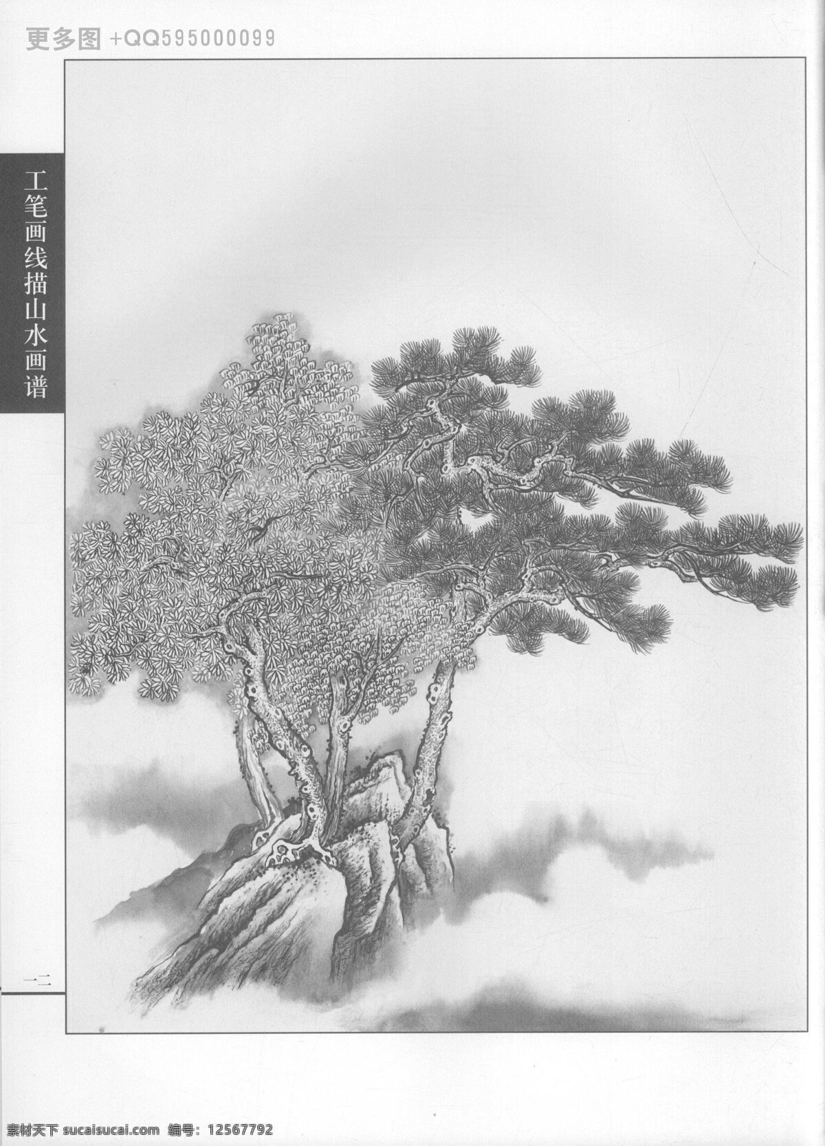 工笔画 线描 山水 画谱 树 石 树石 白描 黑白稿 手绘 线描山水 线描树 线描石 线描风景 绘画 树石篇 绘画书法 文化艺术