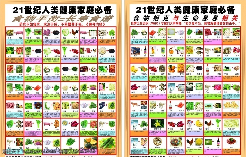 食物相克 食物相克相宜 食物 食物相宜 食物平衡 长寿食物 餐饮美食 生活百科 矢量 其他设计