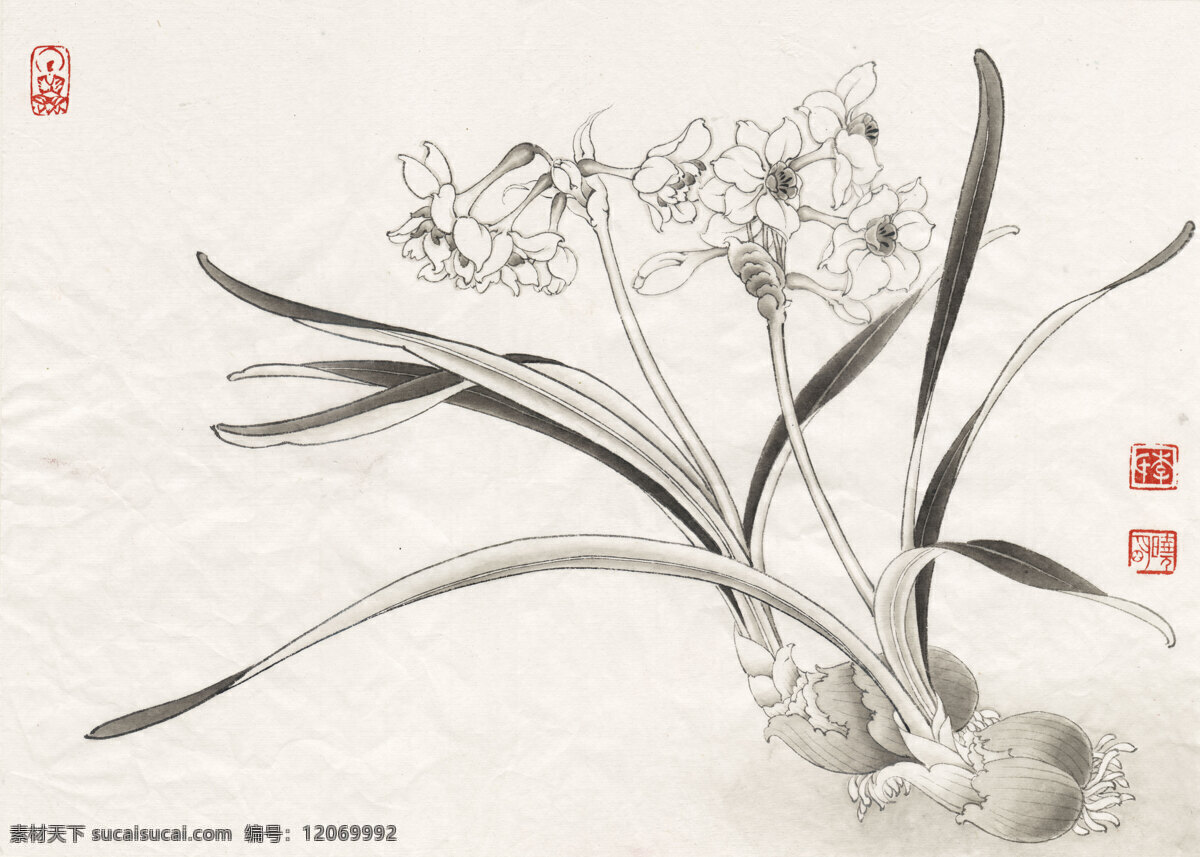 闇墨水仙 国画 工笔画 水墨画 水仙花 绘画书法 文化艺术 李晓明 工笔 花鸟 高清 图